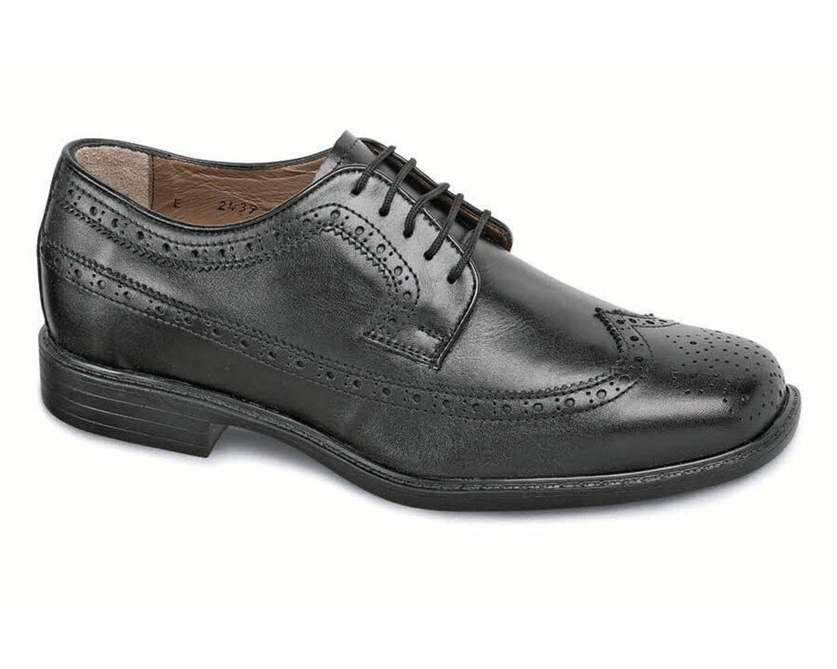 Black-Long Wing Oxford BY HITCHCOCK 1