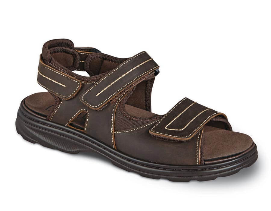 Brown-Hudson Propet 1
