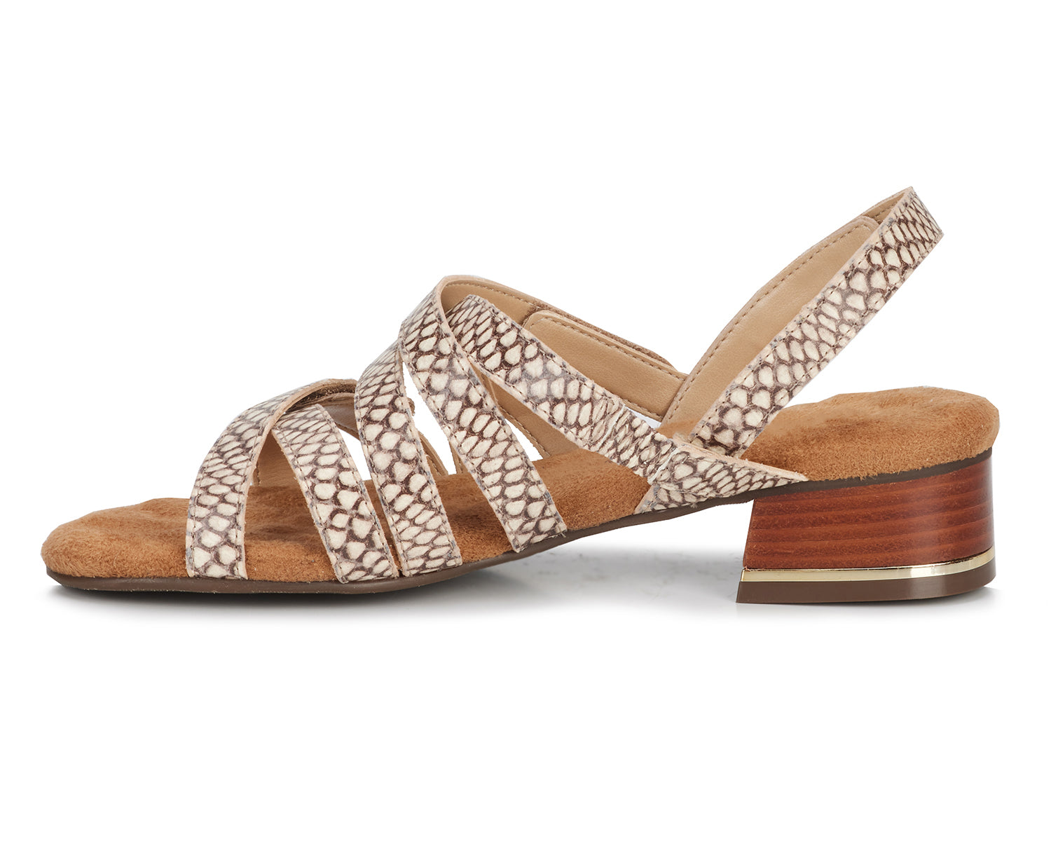Roccia Snake Print Leather-BREEZE BY ROS HOMMERSON 5