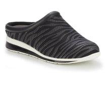 Black Zebra-WC DANA 1